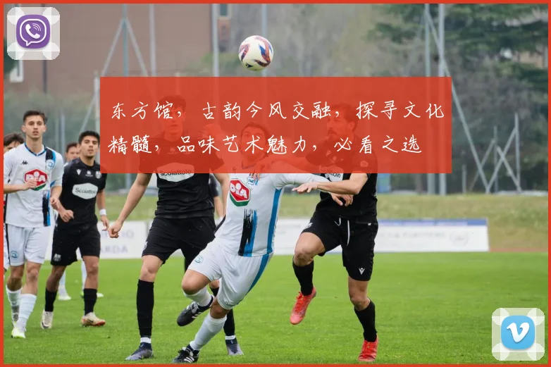 东方馆，古韵今风交融，探寻文化精髓，品味艺术魅力，必看之选