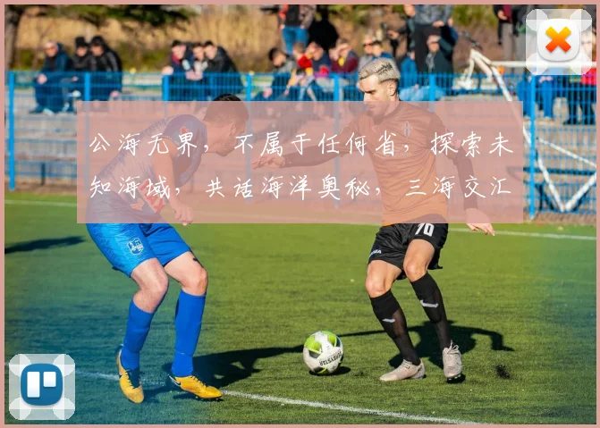 公海无界，不属于任何省，探索未知海域，共话海洋奥秘，三海交汇点，揭秘神秘海域