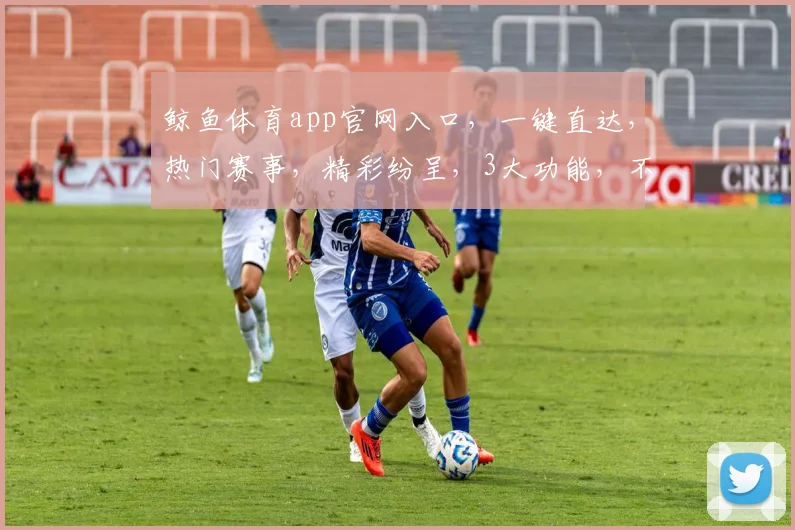 鲸鱼体育app官网入口，一键直达，热门赛事，精彩纷呈，3大功能，不容错过，尽享体育盛宴