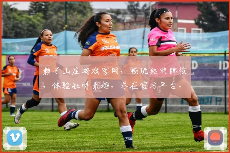赖子山庄游戏官网，畅玩经典牌技，体验独特乐趣，尽在官方平台，不容错过
