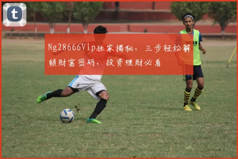 Ng28666Vip独家揭秘，三步轻松解锁财富密码，投资理财必看