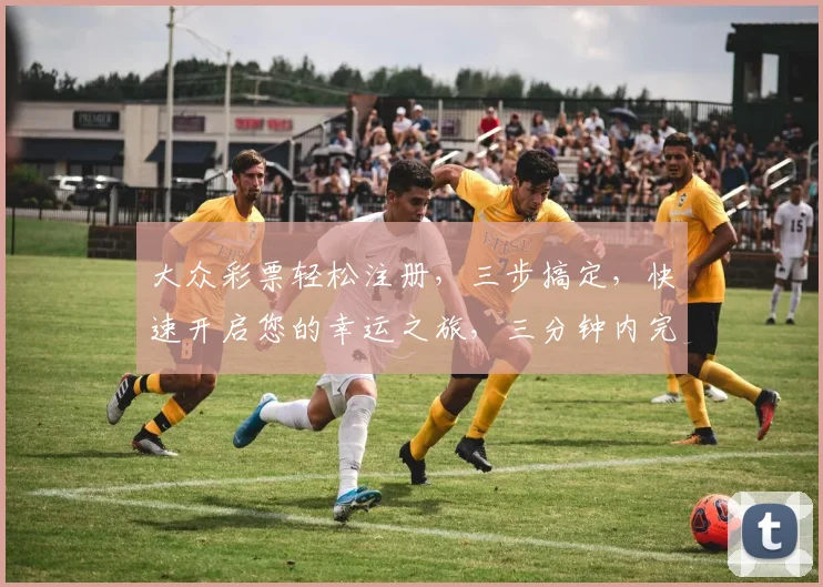 大众彩票轻松注册，三步搞定，快速开启您的幸运之旅，三分钟内完成，即享优惠。