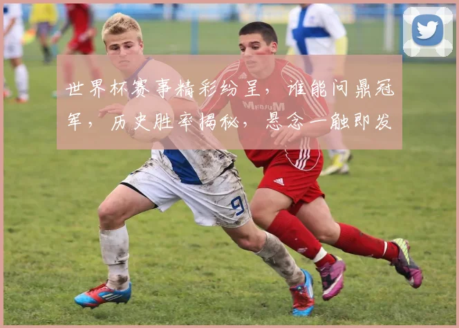 世界杯赛事精彩纷呈，谁能问鼎冠军，历史胜率揭秘，悬念一触即发