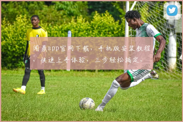 闻鼎app官网下载，手机版安装教程，快速上手体验，三步轻松搞定，不容错过